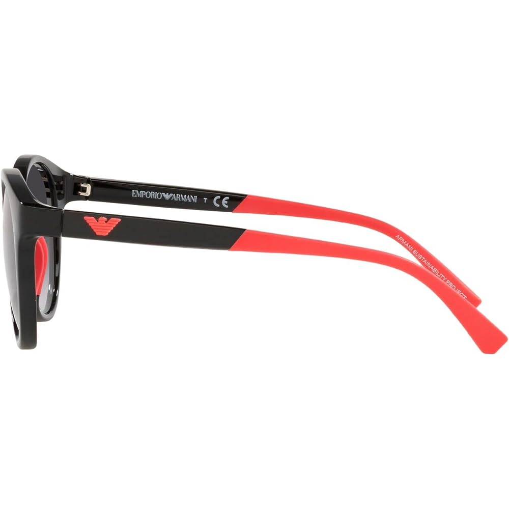 [Emporio Armani] Sunglasses EA4185F