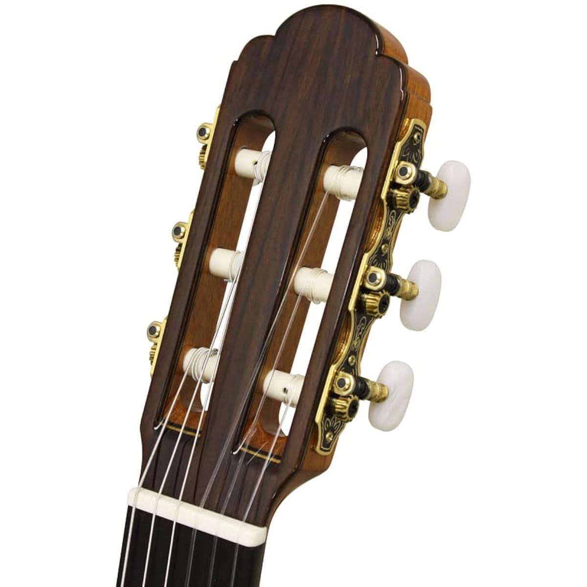 ARIA A-50C Aria Classical Guitar Nylon String Cedar Solid Top Outlet