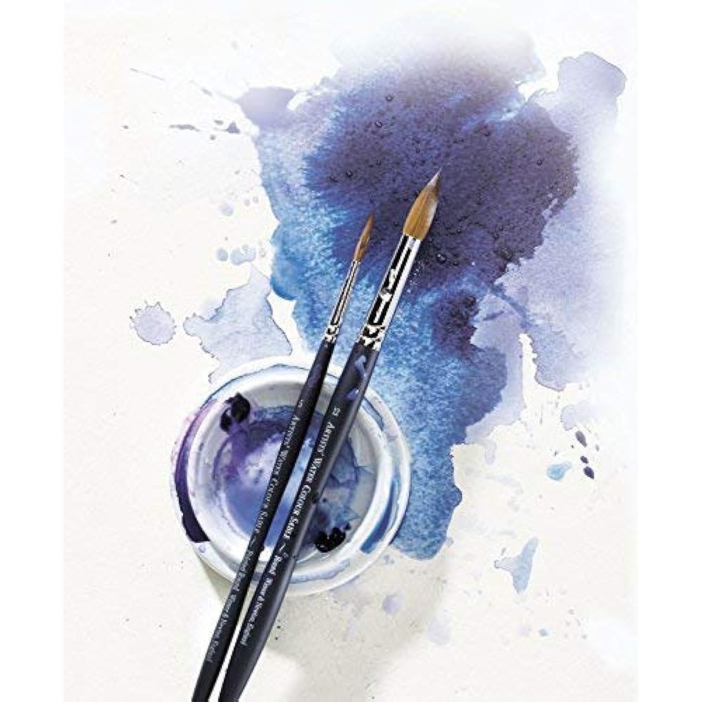 Winsor & Newton Watercolor Brush Professional Watercolor Sable Brush Round No.10 19901010