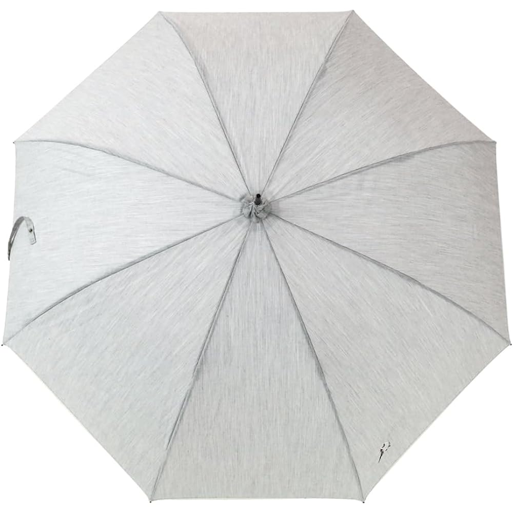 [Chinoiserie Modern] Umbrella, Long Umbrella, Women's Shantung, Large, Deep, Embroidered, Small Bird, Piping