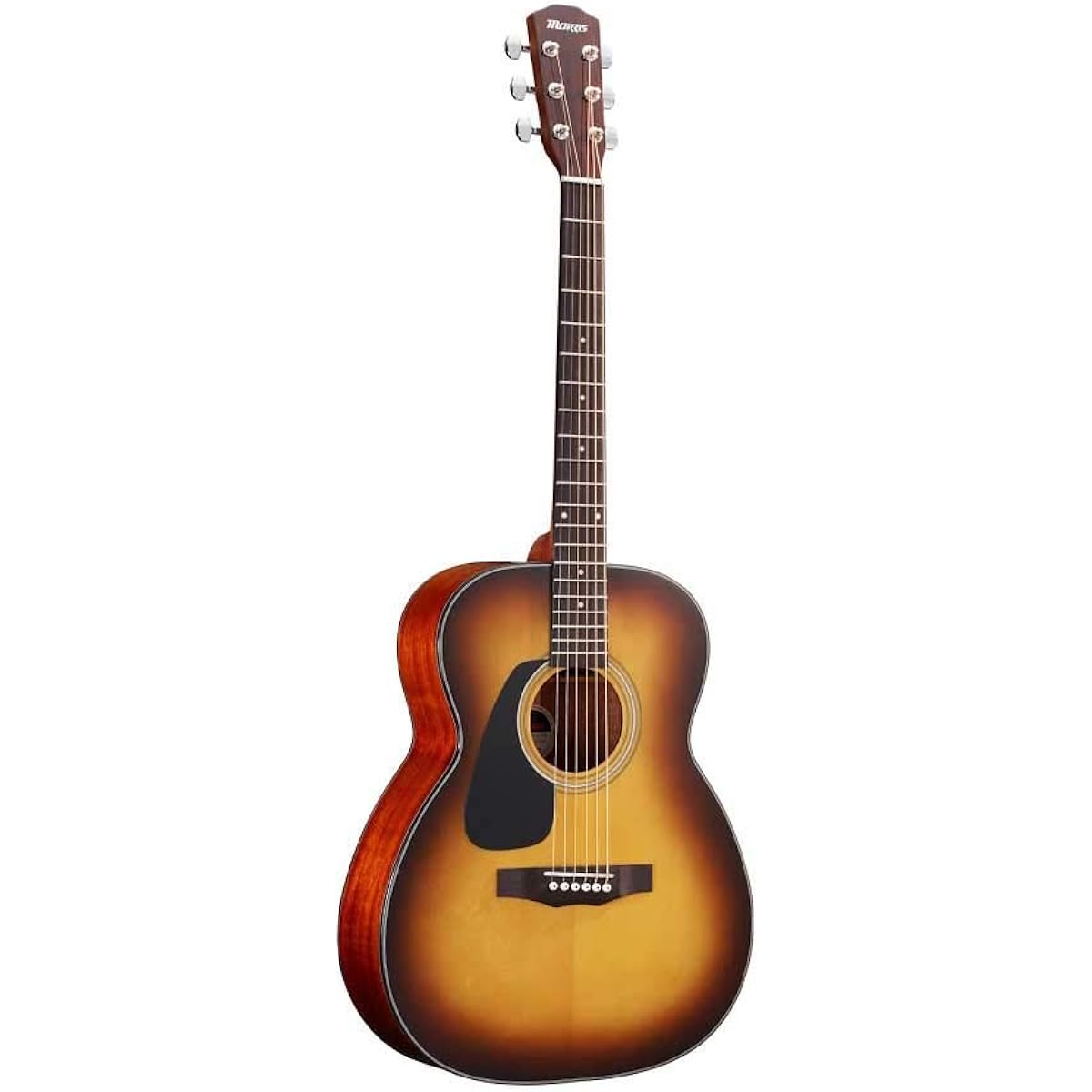 MORRIS F-010 LH TS left-handed acoustic guitar