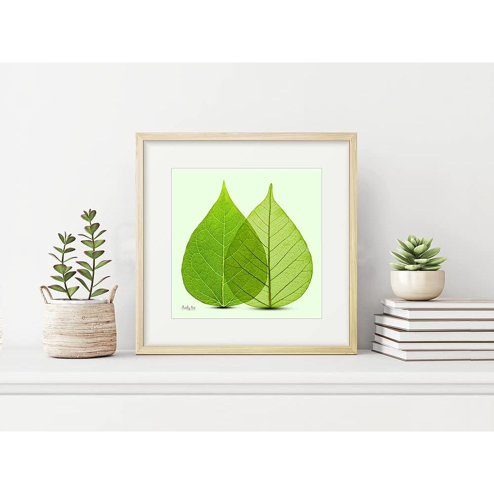 Painting "Leaf Arrangement" Interior Painting Flower Art Panel Framed (Height 32cm x Width 32cm)