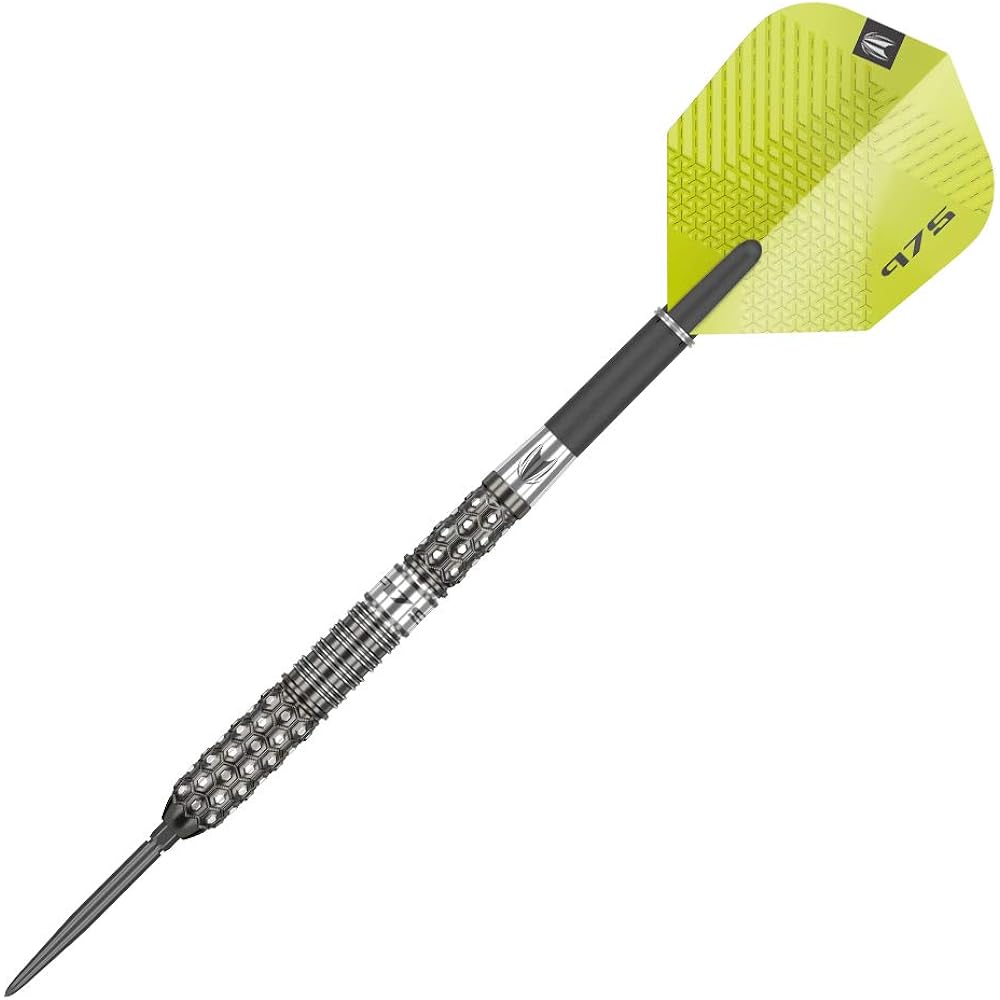 Target 975 02 Swiss Point 25g 190072