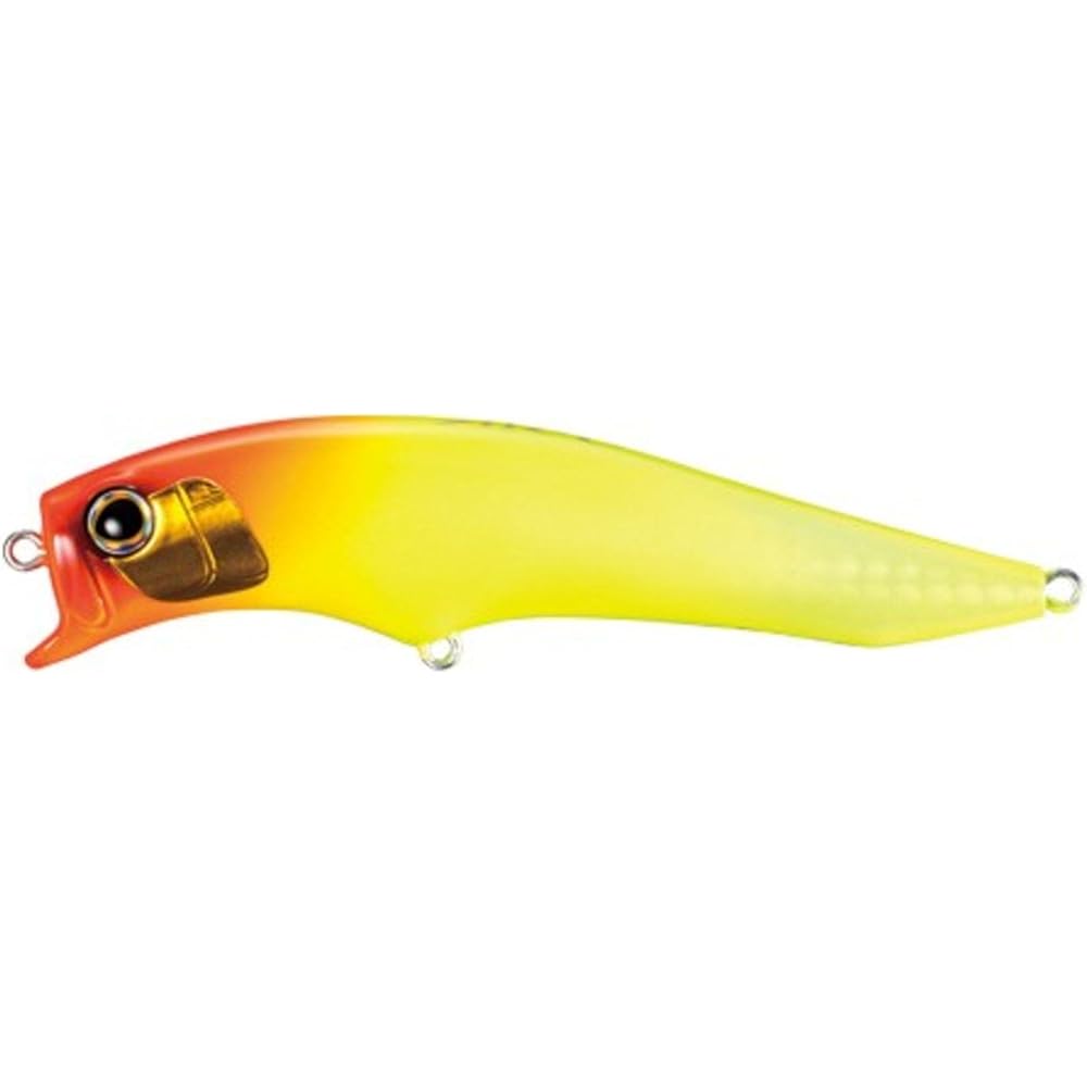 SHIMANO Lure Salt Plug Exsense Agake 95F XAR-C XM-195Q Kyorin Sea Bass River Surf Embankment Seawater Surface Lure
