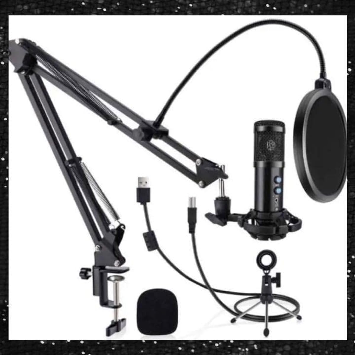 Professional recording at home? Freely adjustable echo? Professional condenser microphone