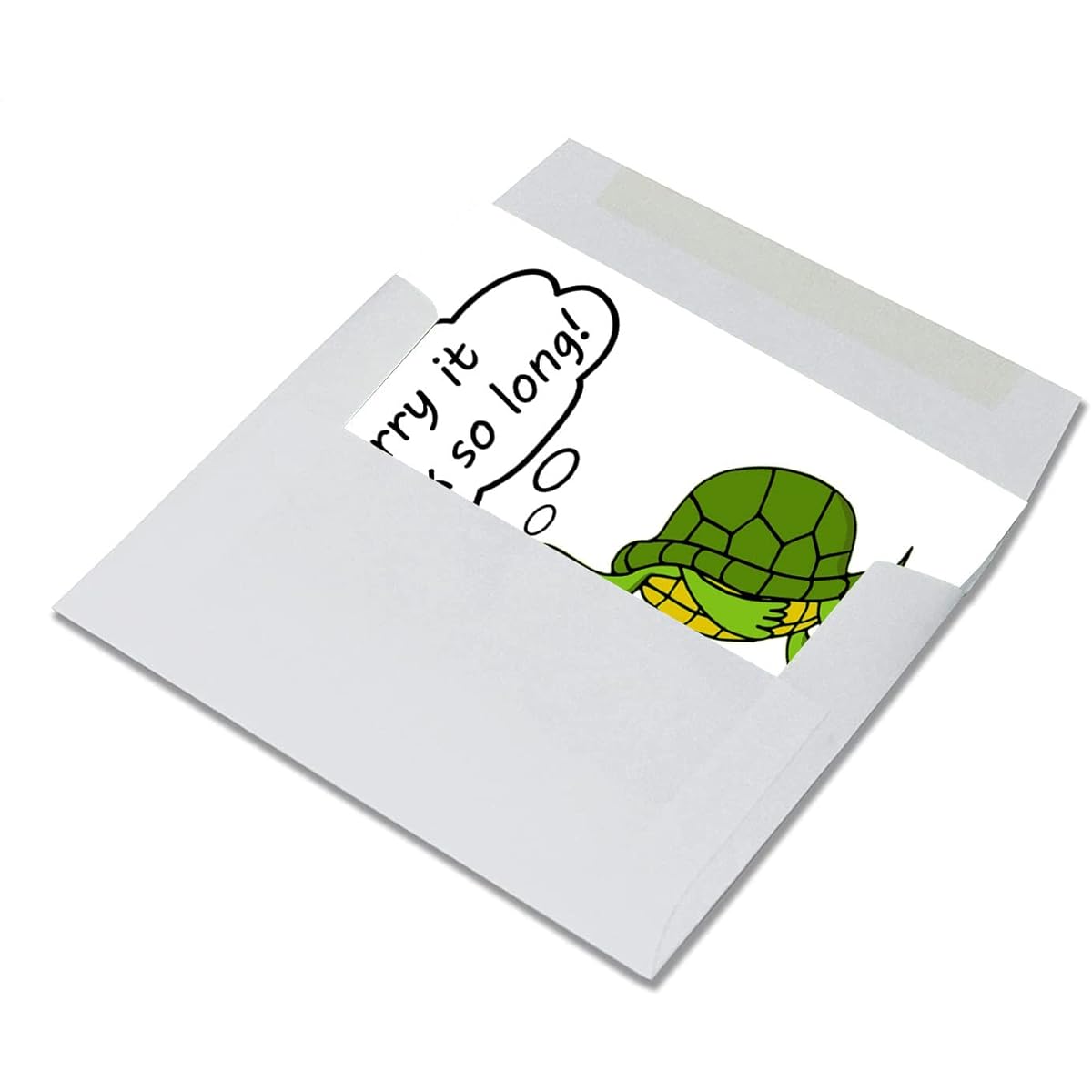 Small World Greetings Sorry It Took So Long Turtle Greeting Cards - Blank Inside - Includes 12 Cards and Envelopes - 5.5"x4.25"