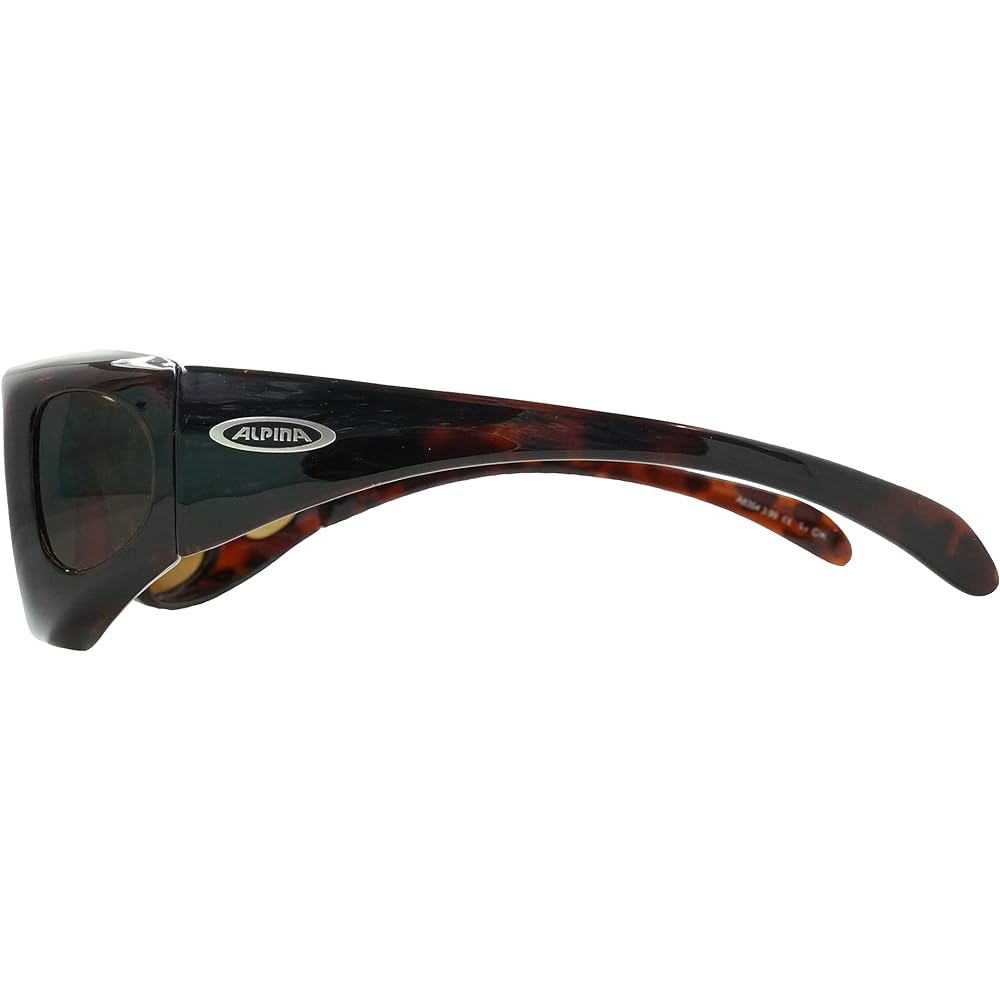 ALPINA OVERVIEW polarized lens sunglasses