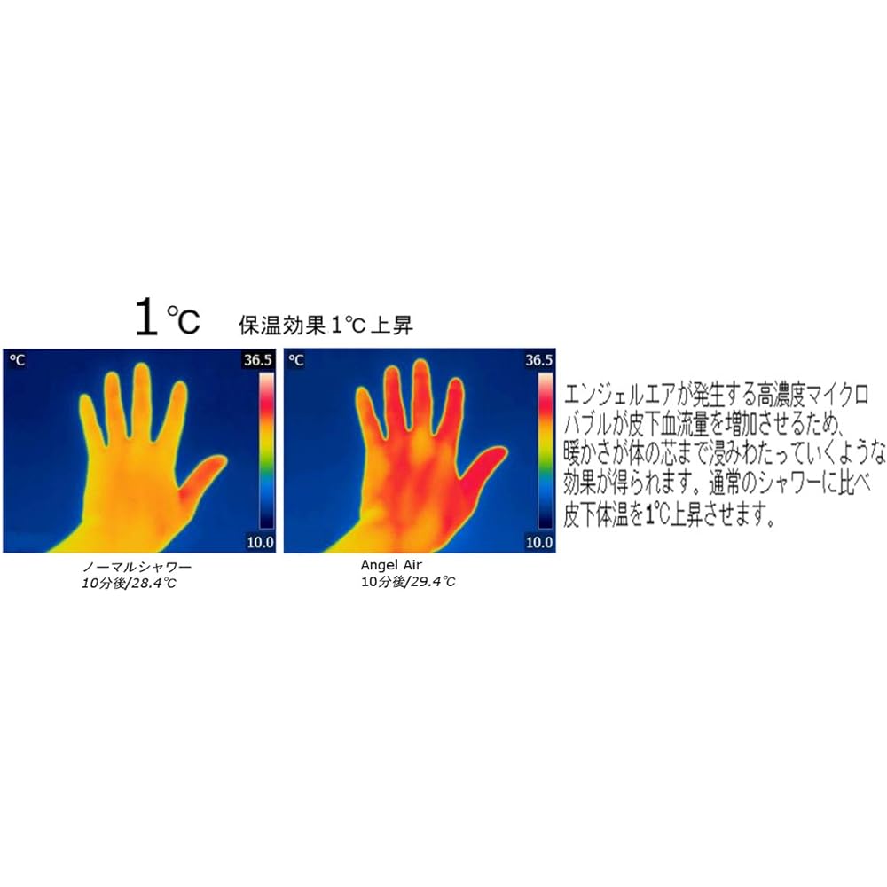 Toshin Shower Head AngelAir Microbubble-EJ Pearl White 8×6×21.5cm TH-008-WH