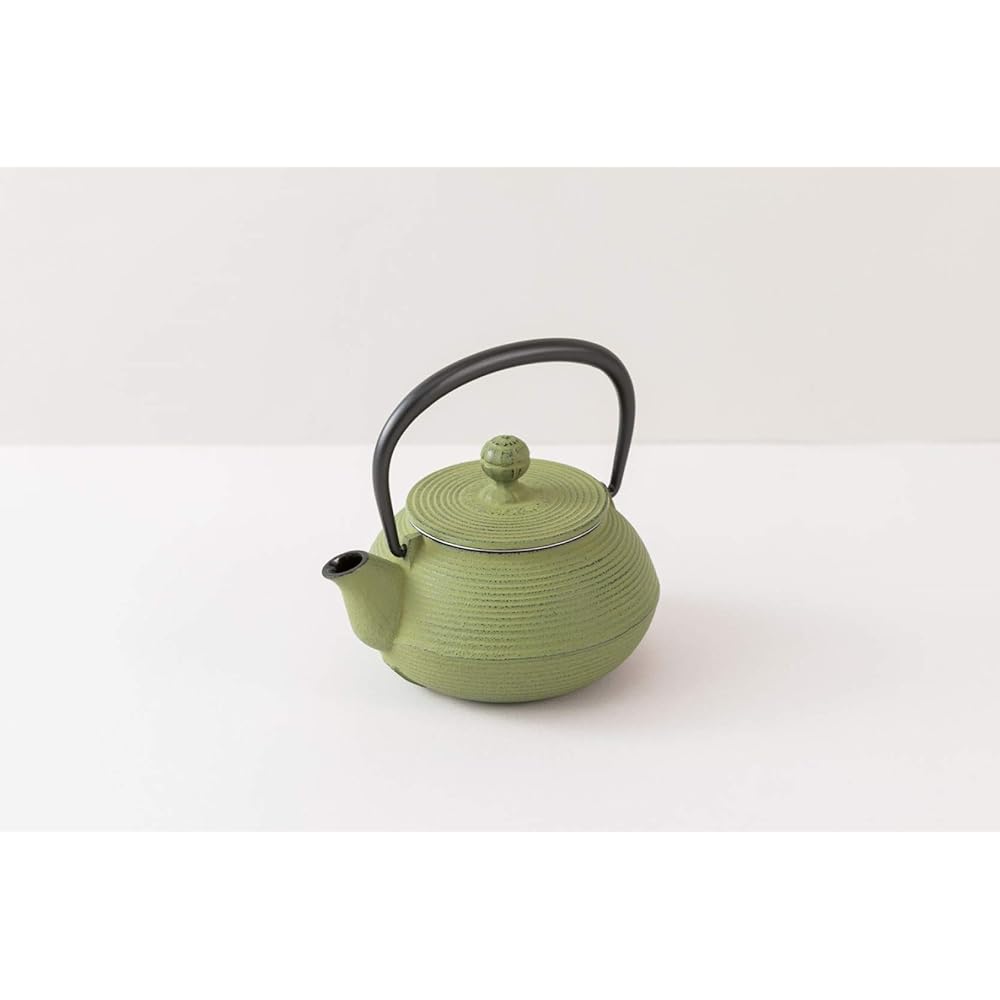 Iwachu Teapot 3 Type Wire Drawn Wakakusa 0.32L Enamel Inside Nambu Ironware 12463