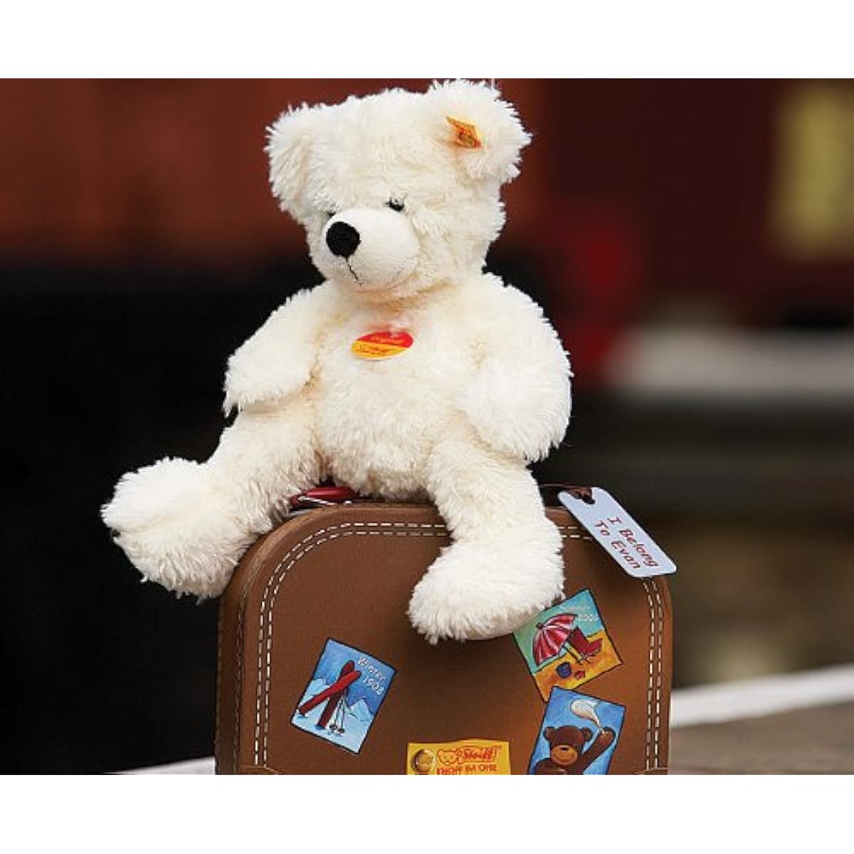 Steiff Lotte Suitcase Teddy Bear (LOTTE Teddy bear in suitcase) 111464 [Parallel import goods]