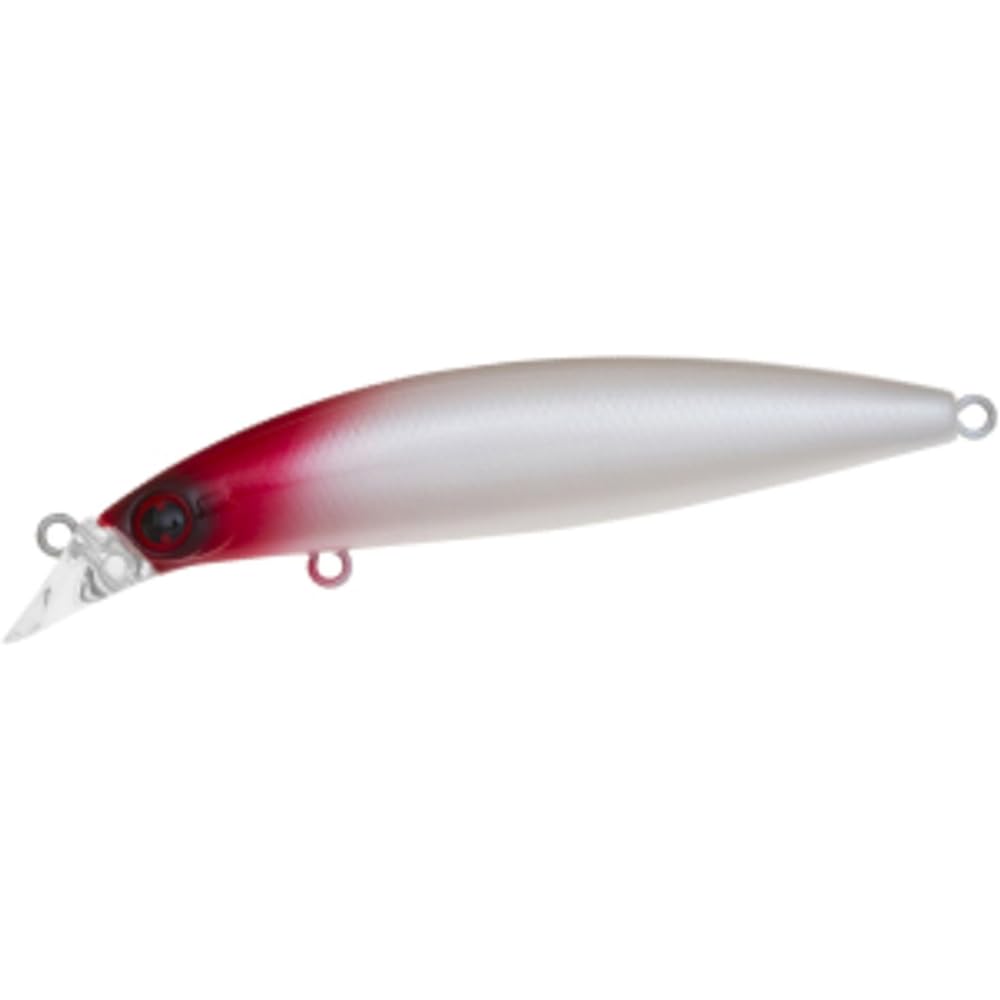 DAIWA Seabass Minnow Shoreline Shiner Z Vertis 80S Lure