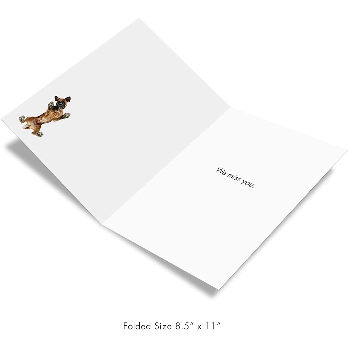 The Best Card Company - Jumbo Miss You Greeting Card (8.5 x 11 inches) - Boxer Breed Cute Group Card for Kids - Big Under Dogs J7187AMYG