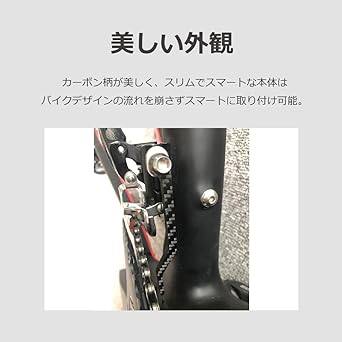 lifactlab. Chain Catcher Road Bike Carbon Chain Watcher Bicycle Fall Prevention (Fixed Type)
