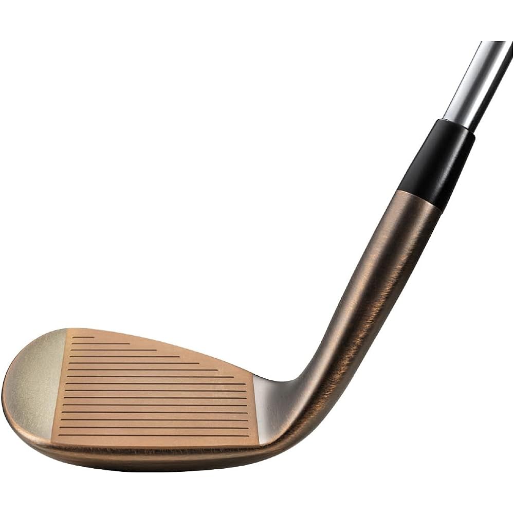 MIZUNO Golf Club T22 Wedge Satin Finish Men's Right-Handed Dynamic Gold HT Steel Shaft [Catalog Genuine Shaft] Hardness/S200 5KJSB22*