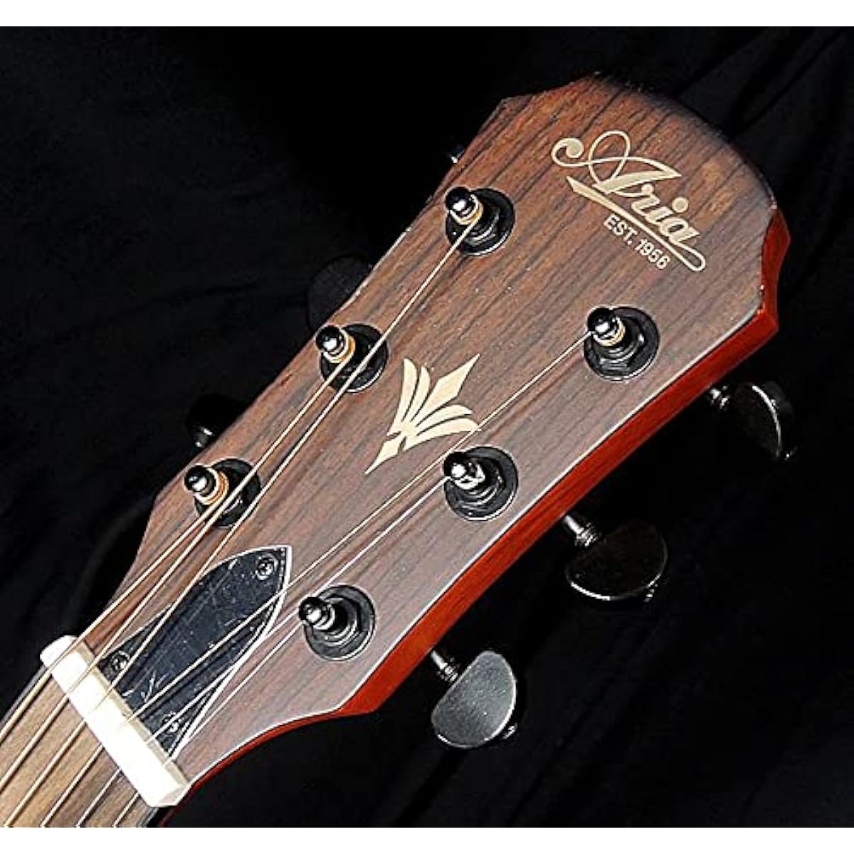 [Special Color] ARIA FET-F2 BS F Hole Electric Acoustic Original Color Brown Sunburst Acoustic Guitar
