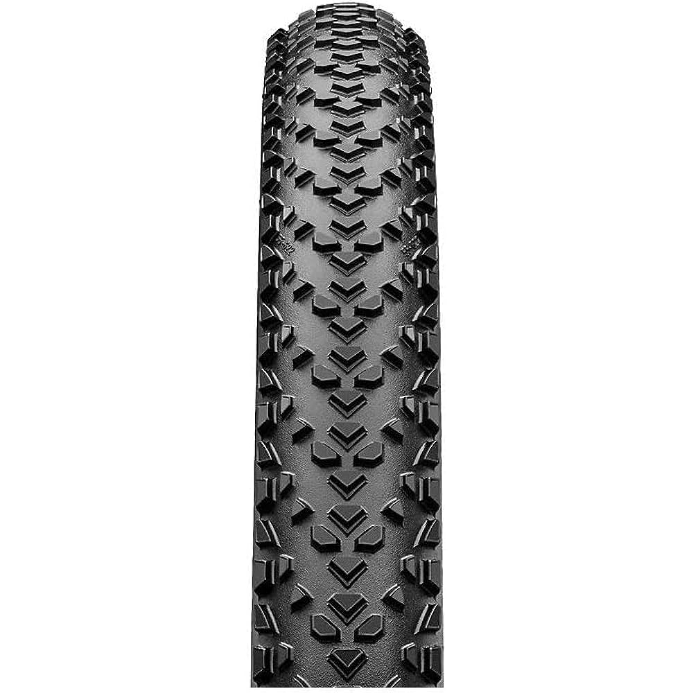 Set of 2 Continental Race King Performance Tubeless Ready Race King Performance (29x2.0) [Parallel Import]
