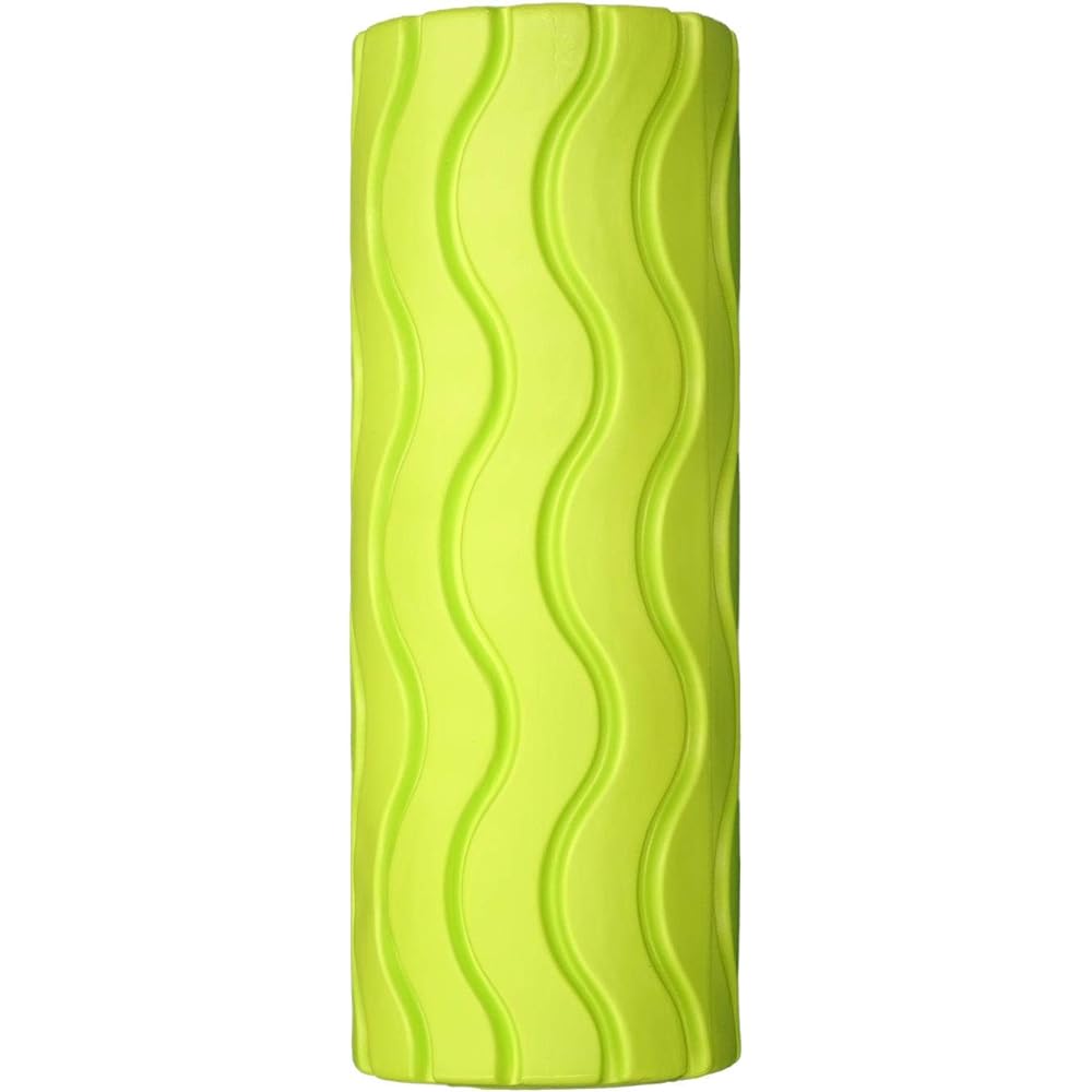 Asahi Golf Swing Training Machine BODY Training Myofascial Release BODY Training Myofascial Release Easy Twin Roller BT-1851 BT-1851