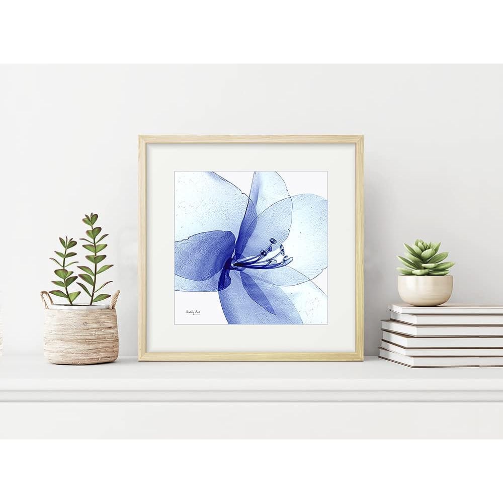 Painting "Glowing Amaryllis" Interior Painting Flower Art Panel Framed (H 32cm x Width 32cm)