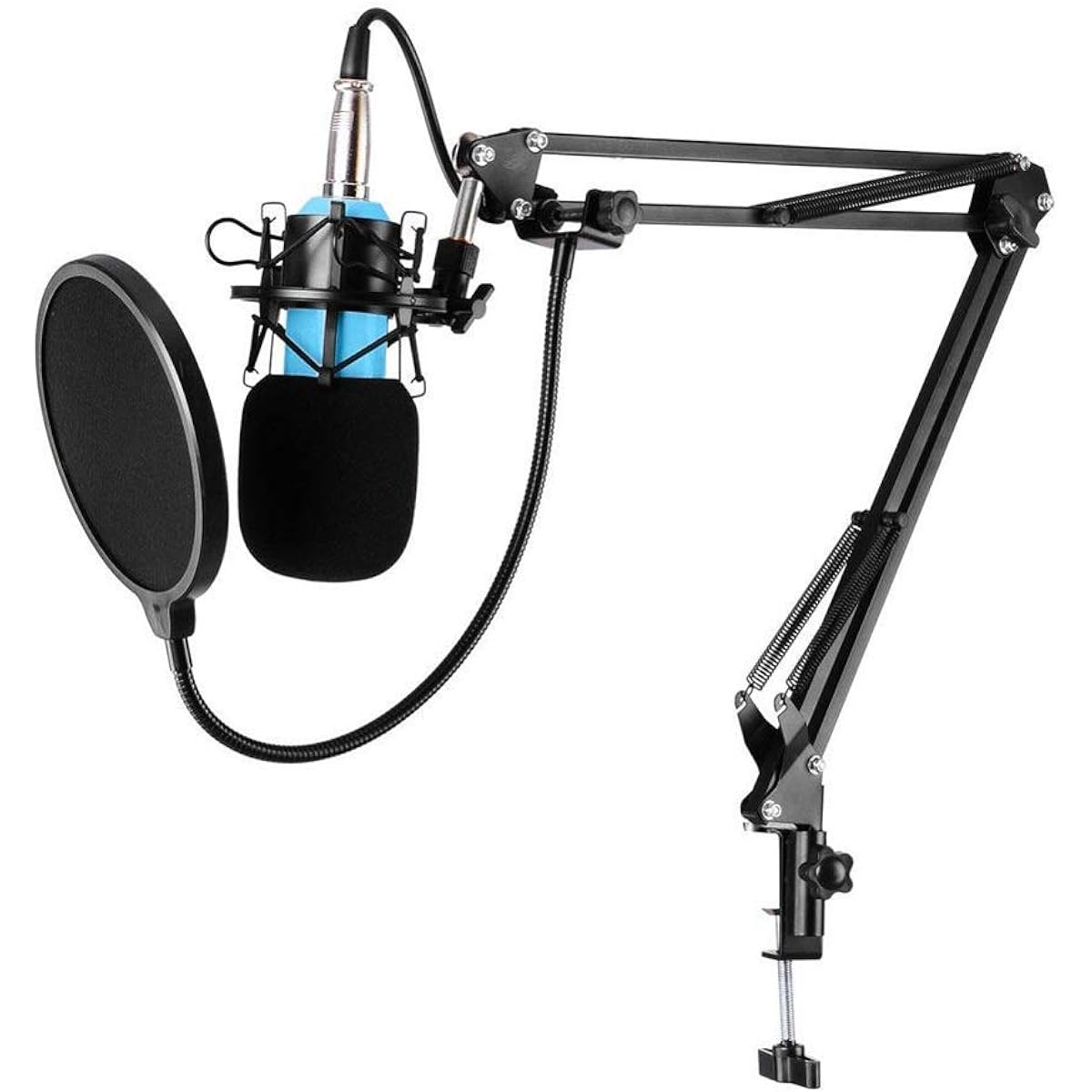 Karaoke Studio Recording Cardiod Condenser Microphone Set KTV Sing Capacitor Music Mic with Shock Mount Windshield