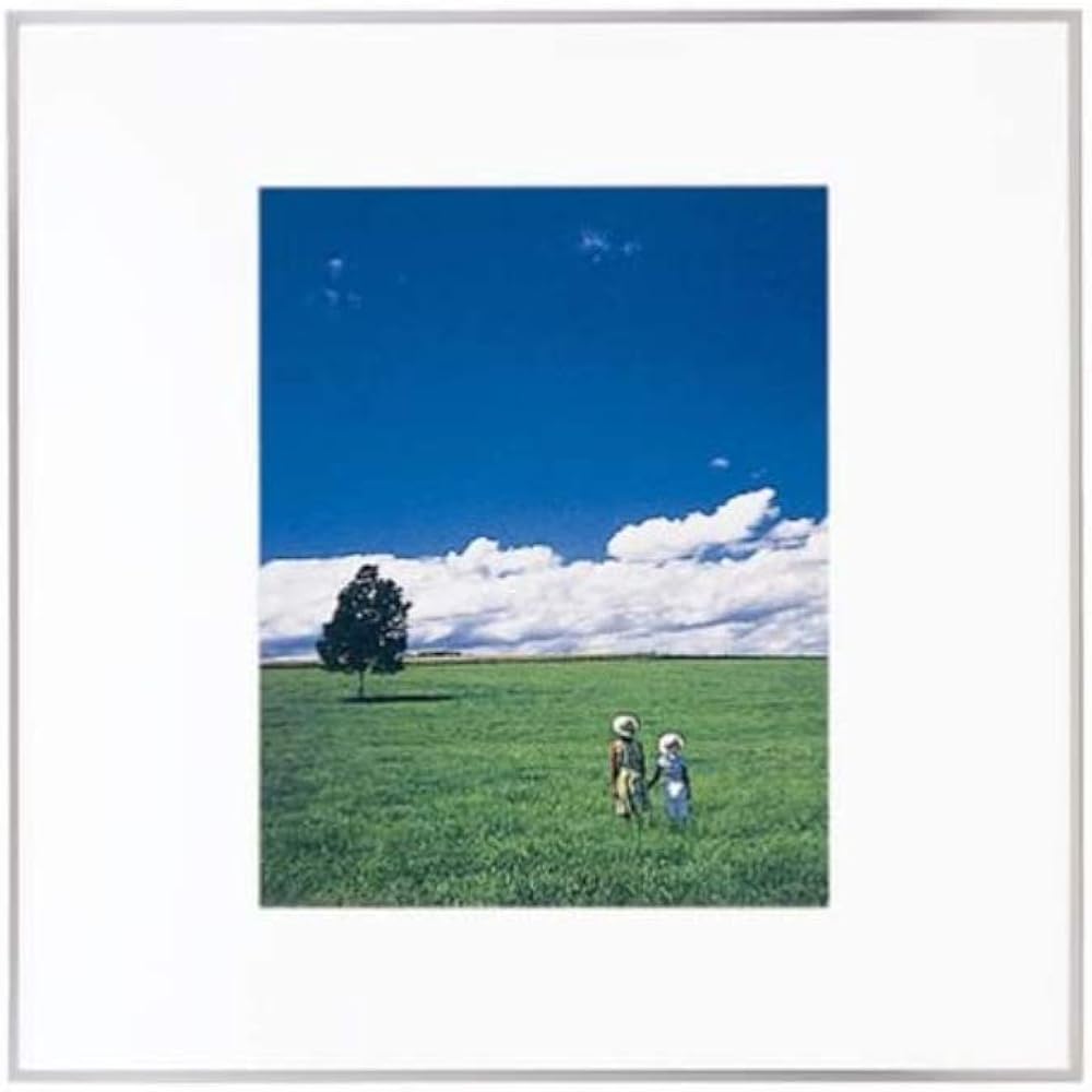 FUJICOLOR Picture Frame Square Mat Frame HQA202 Acrylic 4 Cut Aluminum Black 303128