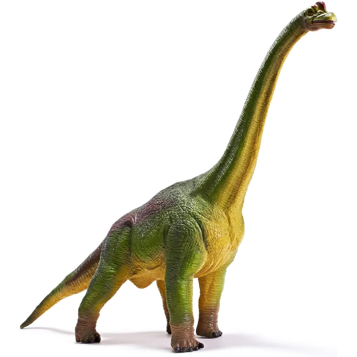 RECUR Brachiosaurus Dinosaur Figure Toy Large Model Herbivore Educational Toy Gift Size: 52cm x 12cm 33.5cm