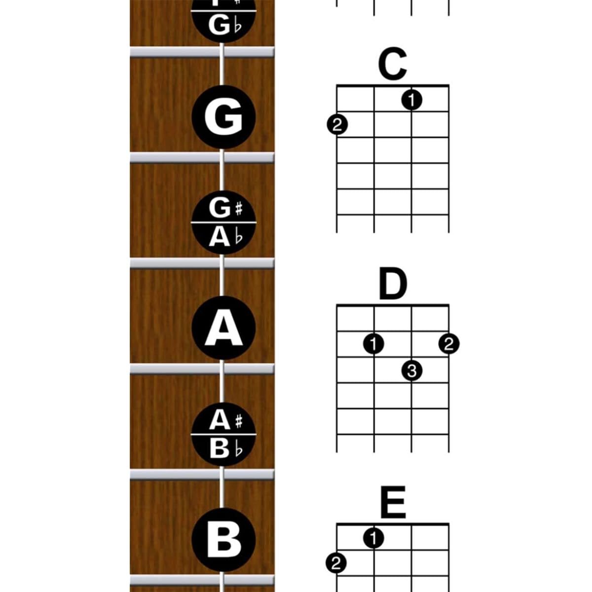 Laminated Baritone Ukulele Fretboard Notes & Easy Beginner Chord Chart 27.94cmx43.18cm Instructions Poster for Bari Uke New Song Music
