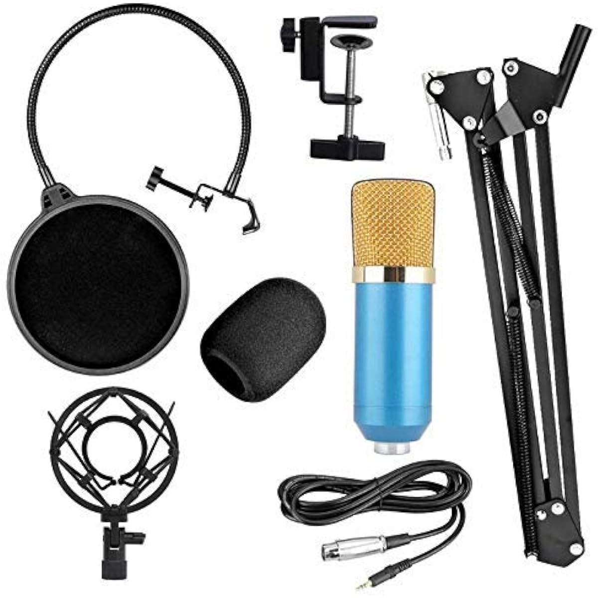 Karaoke Studio Recording Cardiod Condenser Microphone Set KTV Sing Capacitor Music Mic with Shock Mount Windshield