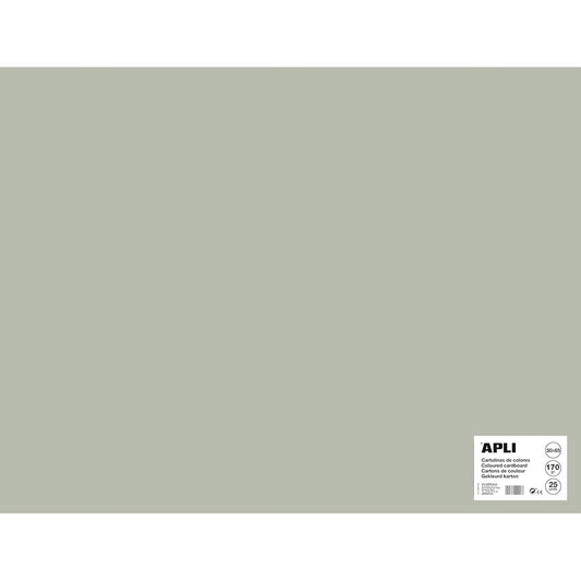 APLI 014268 Pack of 25 Cards 500 x 650 mm Gray