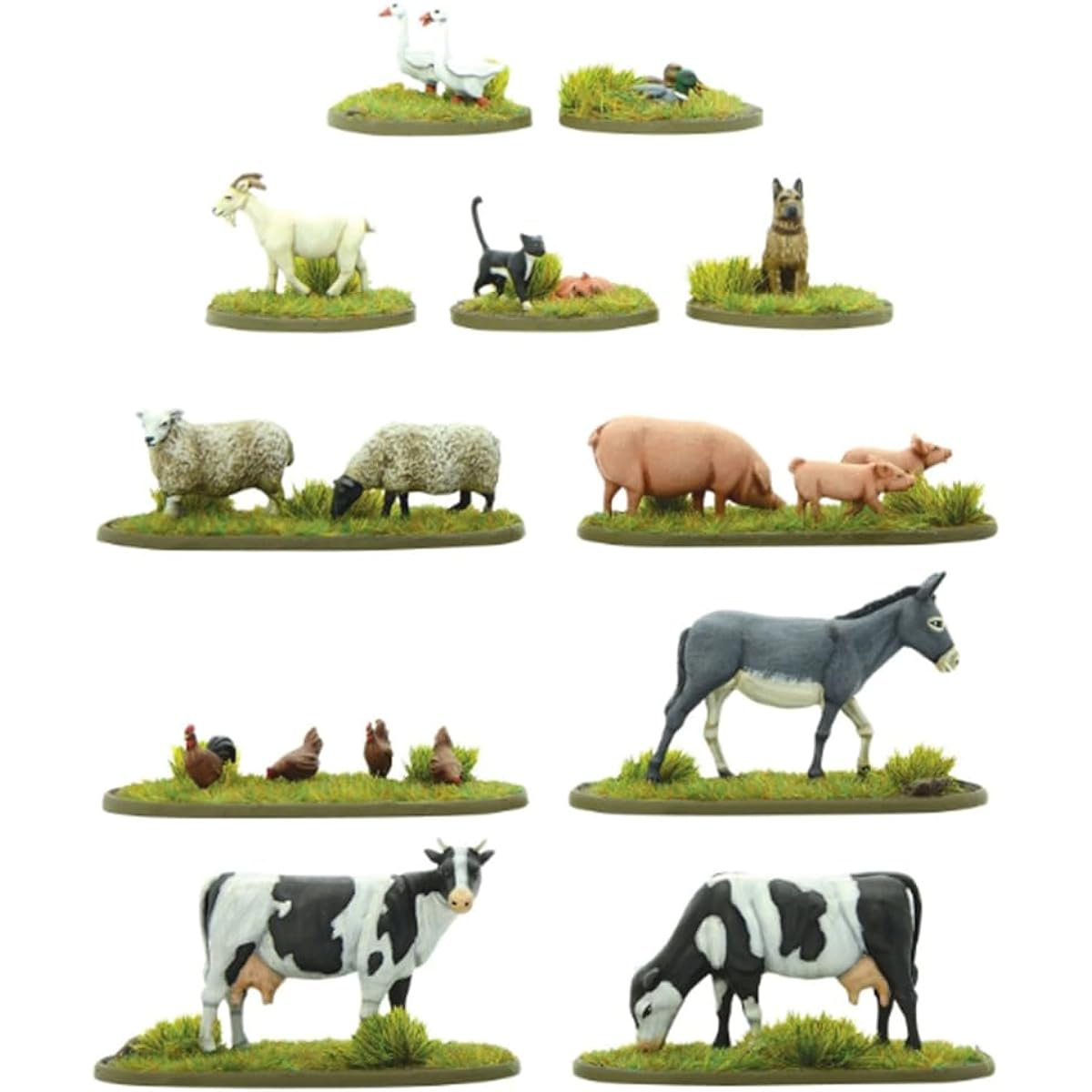 Farmyard Amimals