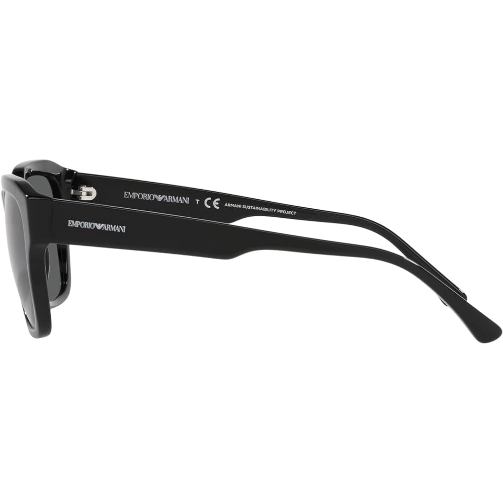 [Emporio Armani] Sunglasses EA4175F