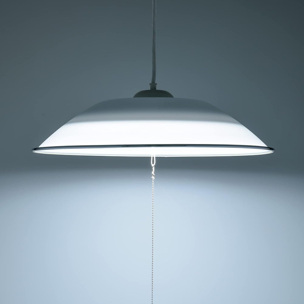 Ohm Denki LED Western-style pendant light for 8 tatami mats, daylight color LT-Y40D8G-W1 06-3873 OHM White