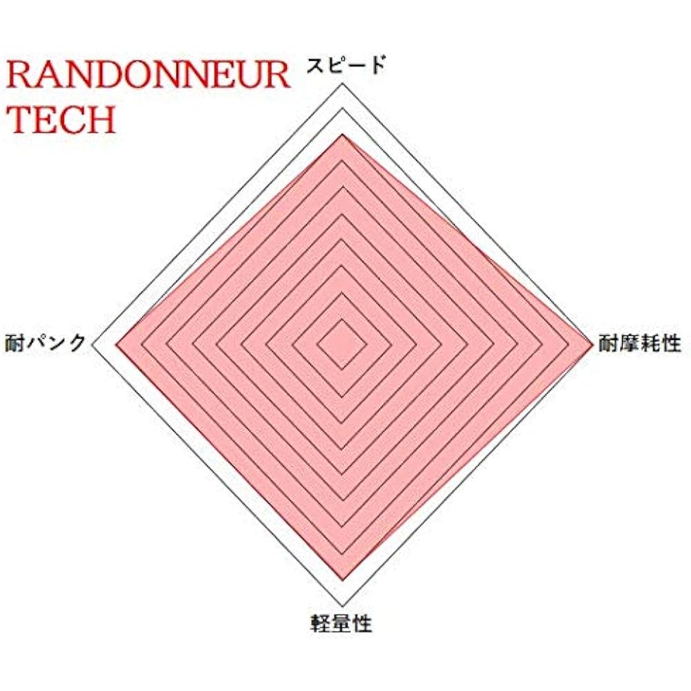 Vittoria Randonneur Tech G2.0 Clincher (With Reflector) [Randonneur Tech G2.0 (Rigid)] All Black Reflective Sidewall [Casing: Nylon 33TPI]