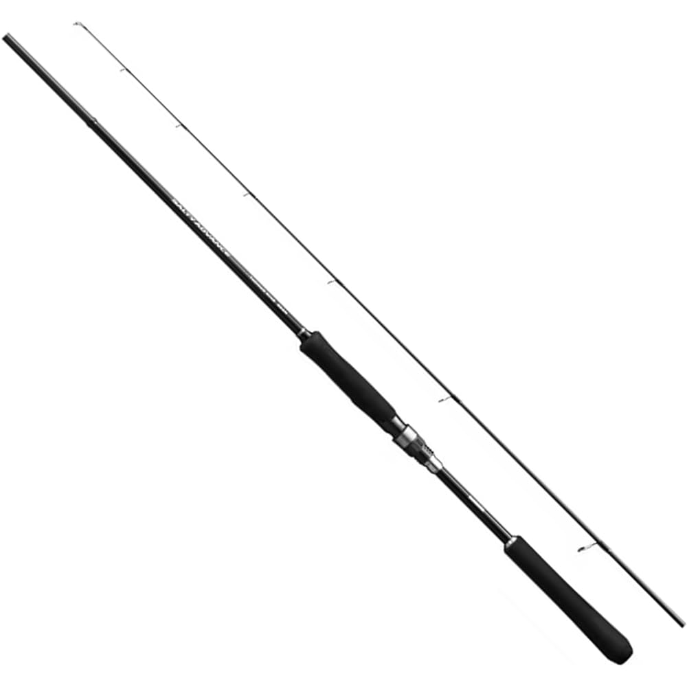 SHIMANO Rod 19 Salty Advance Various Salt Lure Games