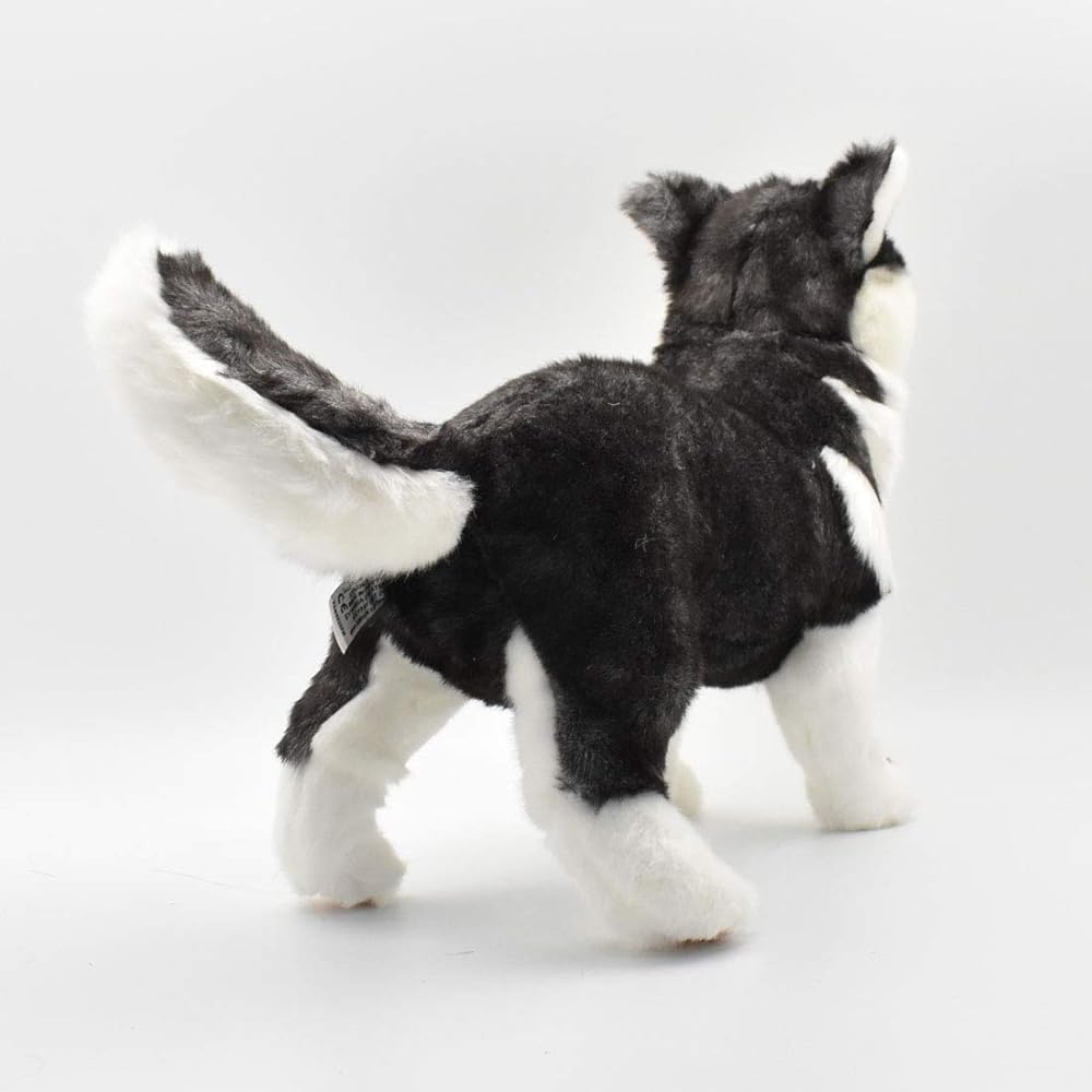 BH7512 HANSA Siberian Husky Pup 43