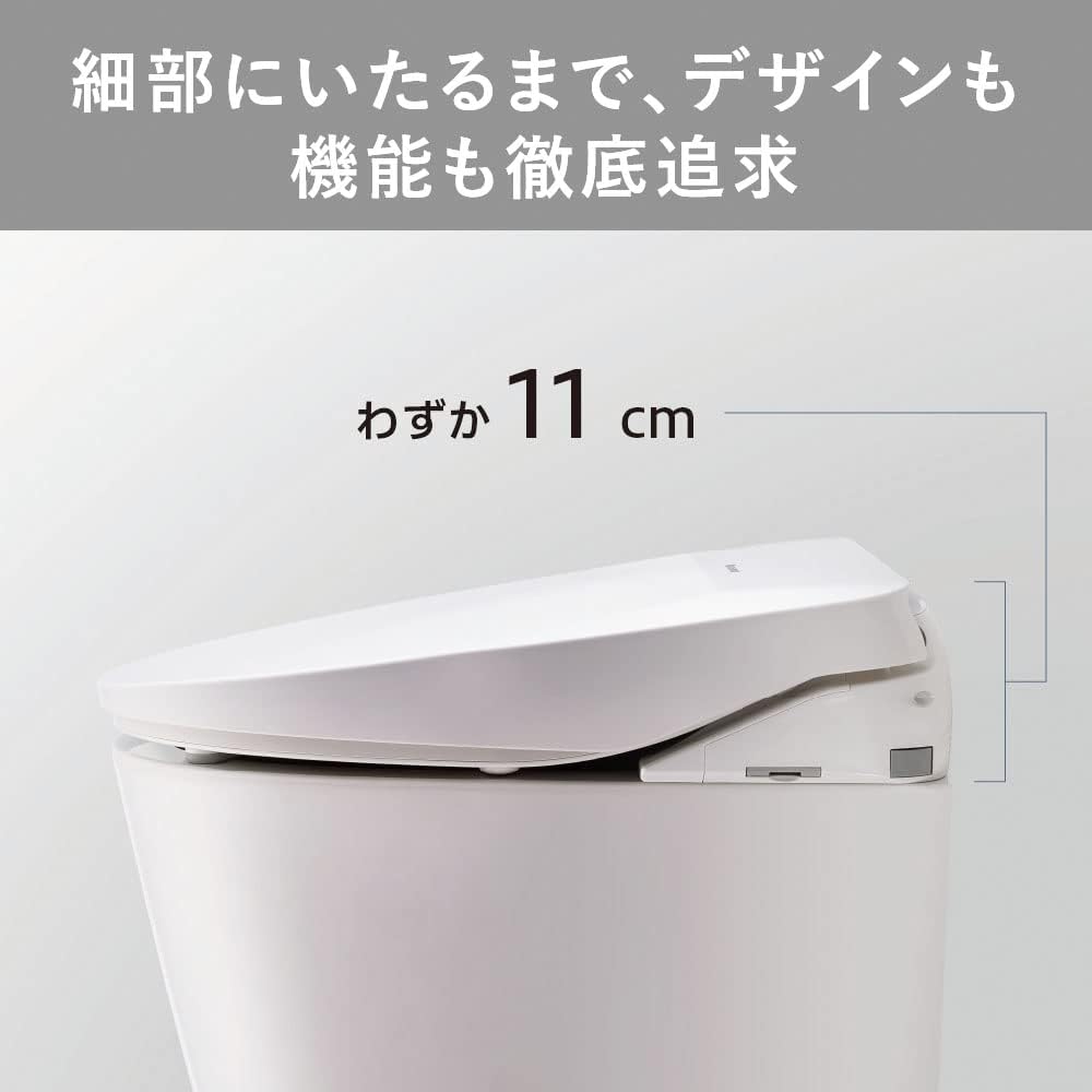 Panasonic Warm Water Wash Toilet Seat Beauty Toilet Hot Water Storage Type DL-ERX20-WS