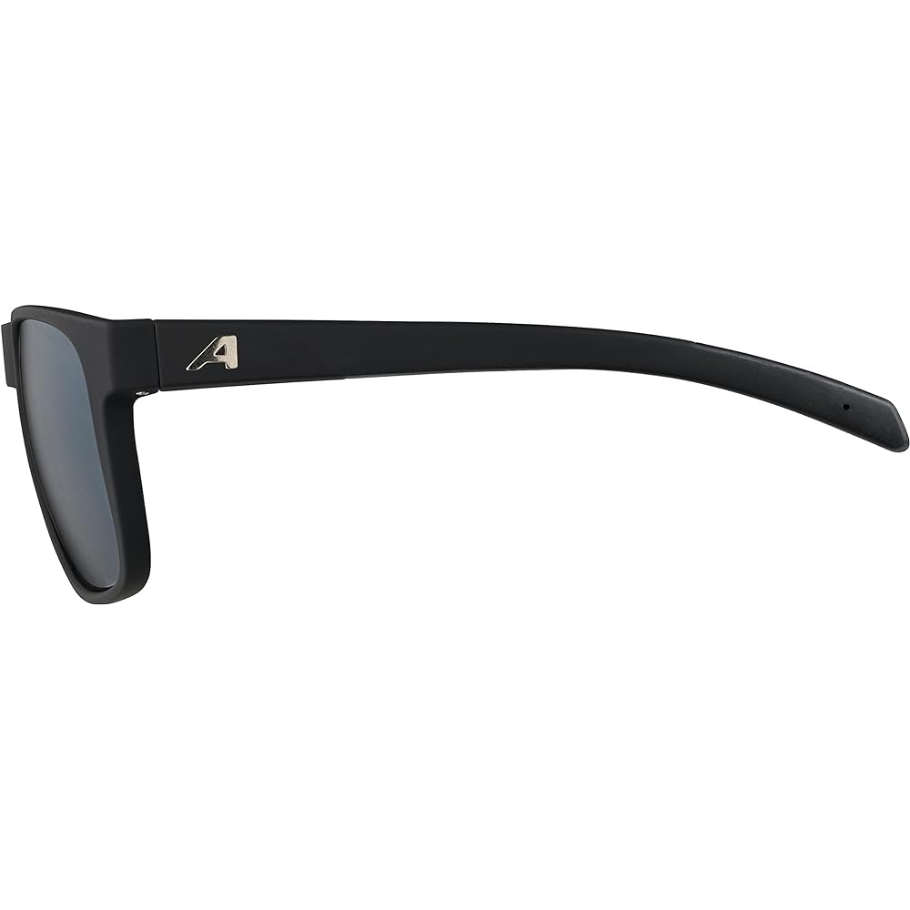 [Alpina] Sunglasses NACAN III