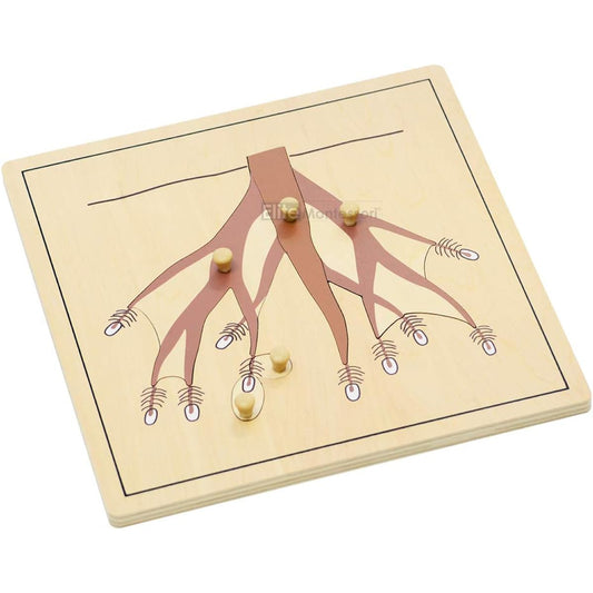 (Brown) - Montessori Root Puzzle