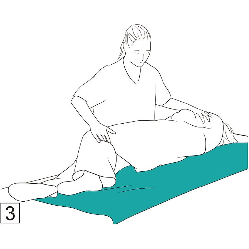 Nursing care sliding seat, transfer seat, moving support seat, assistance, transfer assistance, nursing care lift, movement, positioning, body change, aid, elderly (172*70 cm)