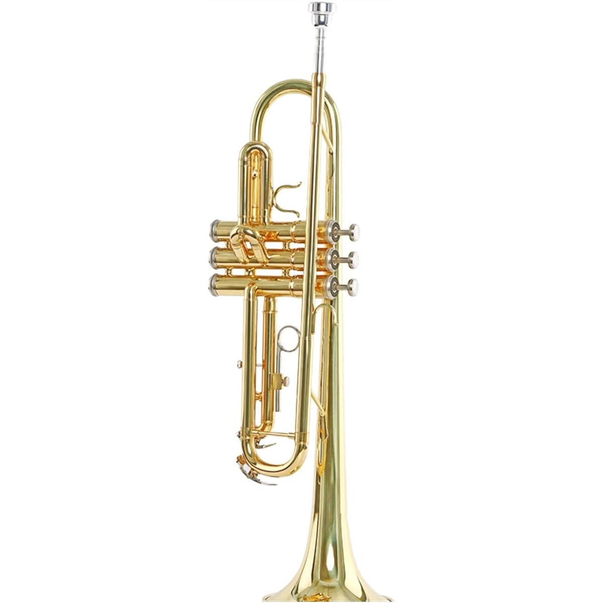 Entry Test for Trumpet Band on B Flat Trumpet Instrument