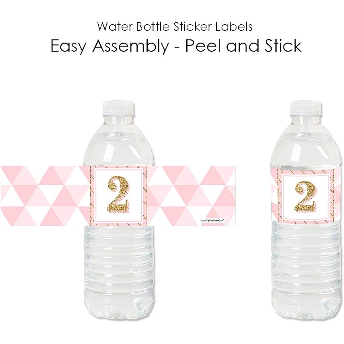 2nd Birthday Girls - Fun for 2 - 2nd Birthday Party Water Bottle Sticker Labels - Set of 20