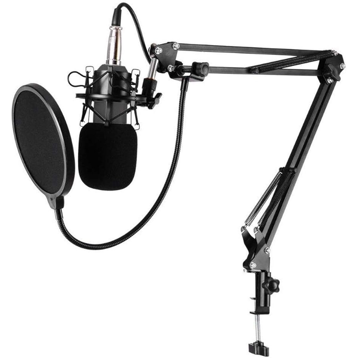 KTV Microphone Studio Cardioid Condenser Condenser Microphone Music Recording Microphone for PC Laptop Record