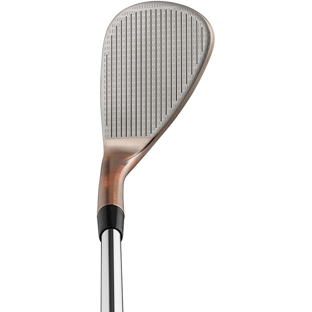 TAYLOR MADE MILLED GRIND HI-TOE2 Wedge Dynamic Gold Steel Shaft Men's Golf Club Right Loft Angle: 58 degrees Flex: S