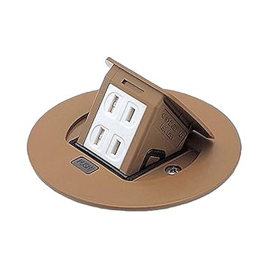 Panasonic Residential F Type Upcon Round 2 Ports Natural Birch 2P 15A 125V DU1100F