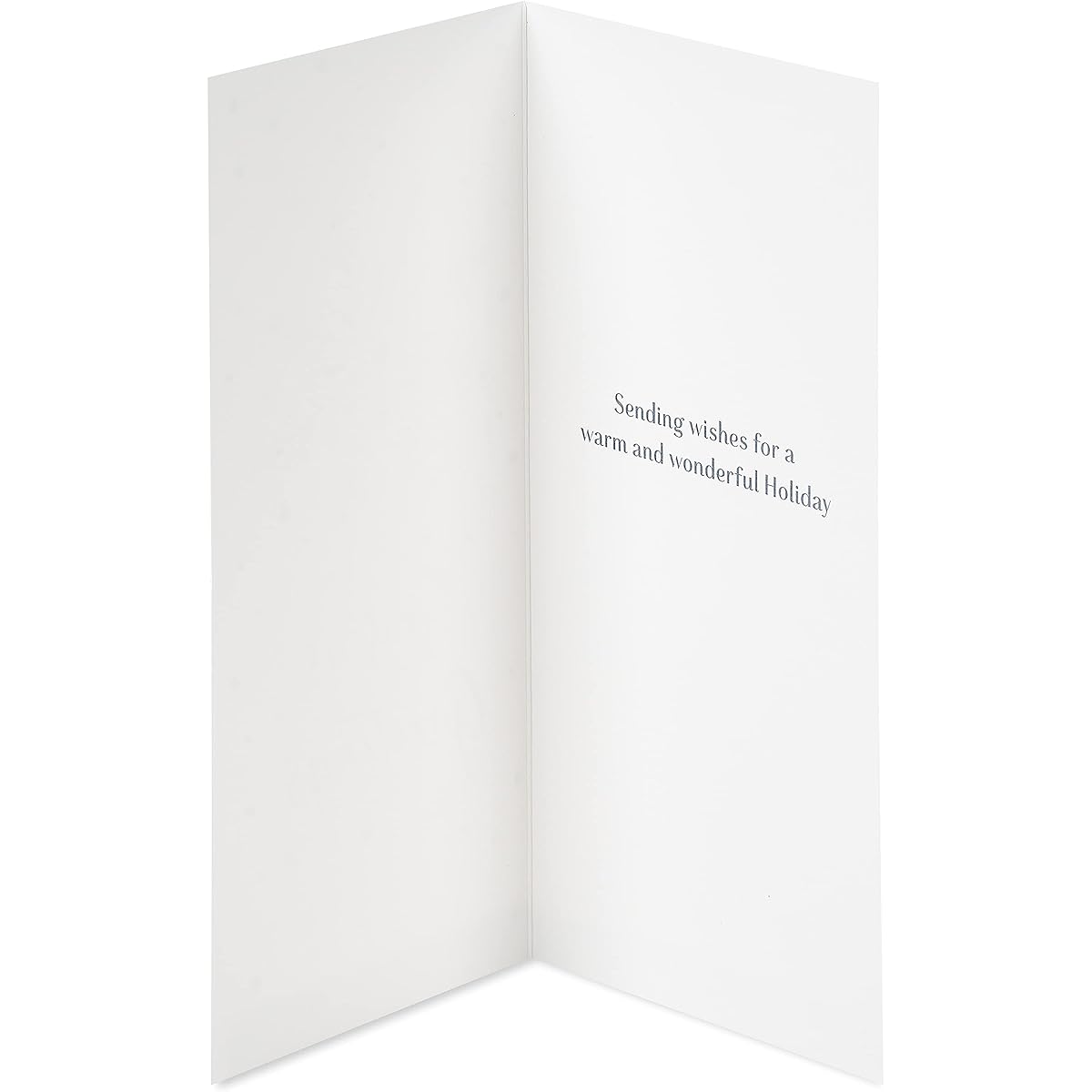 Papyrus Holiday Cards with Envelopes Sending Wishes Snowflakes (16 Cards)