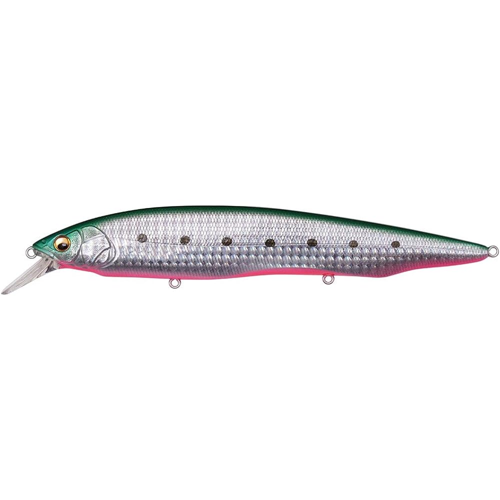 KANATA Ayu SW (Kanata Ayu SW) Oil Sardine