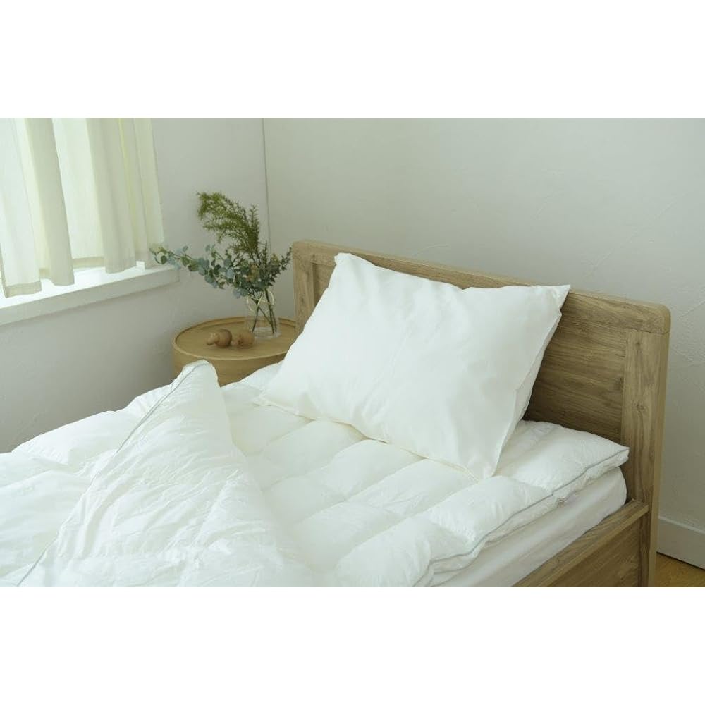 Danfill Fiber Pillow Premium Light with Premier Satin Pillow Cover JPA126-AKF02-4