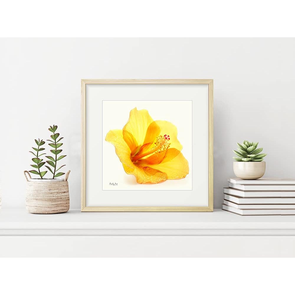 Painting "Hibiscus After the Rain" Interior Painting Flower Art Panel Framed (Height 32cm x Width 32cm)