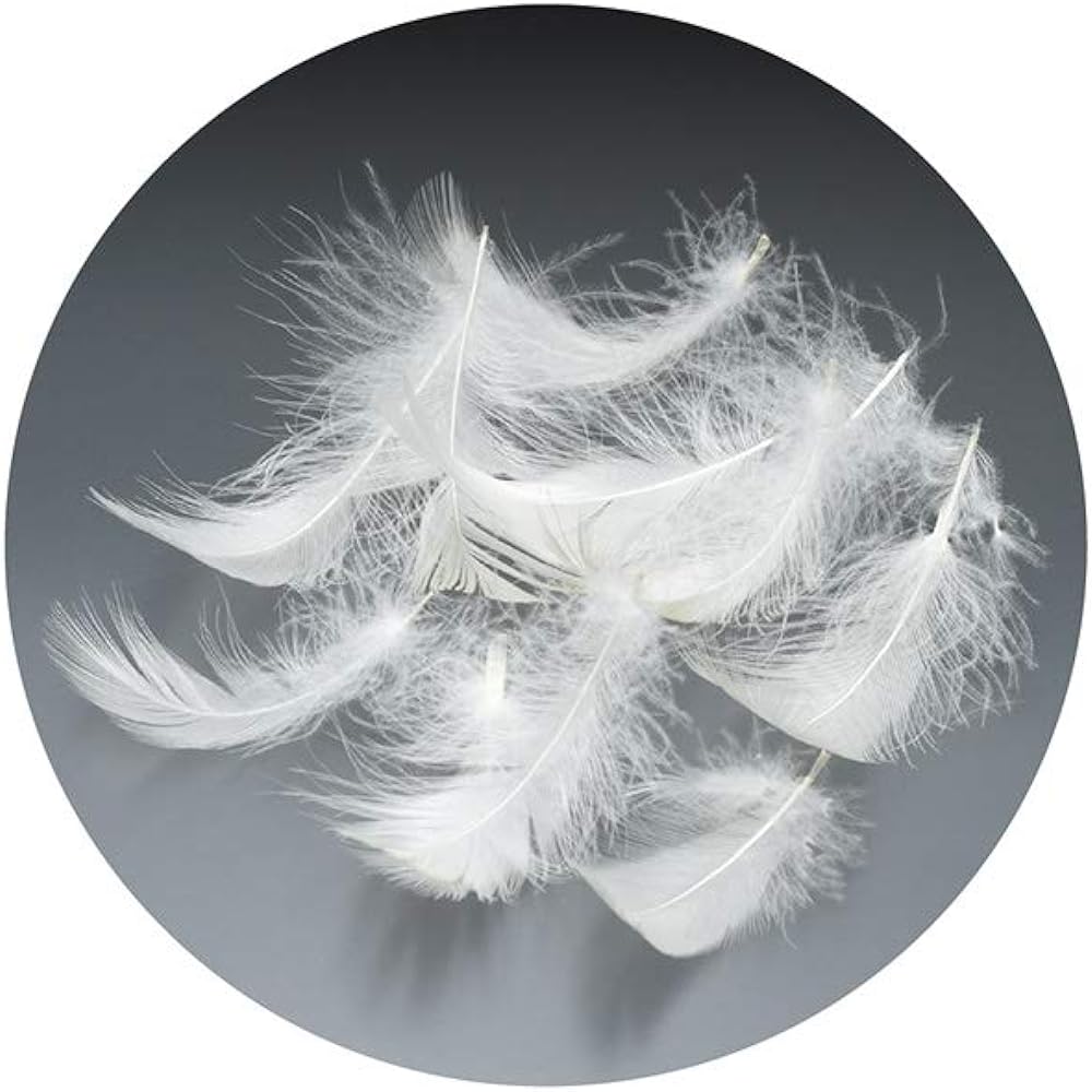 French Bed Feather Pillow ``Feather Pillow'' Made with high-touch feathers. High moisture wicking Side material: 100% cotton 50 x 70 cm Kinari [Authentic French bed product] 076468168