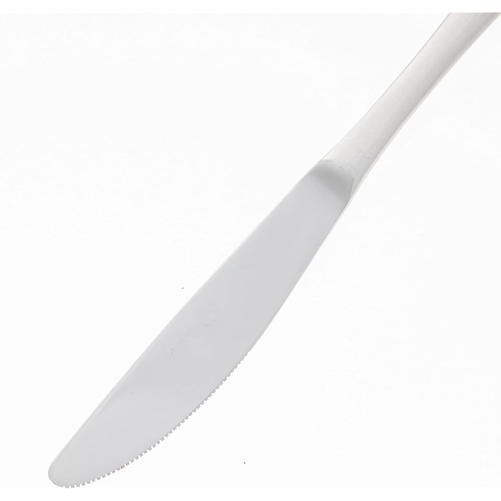 Nagao Tsubamesanjo Dinner Knife Set of 12 18-0 Stainless Steel Made in Japan