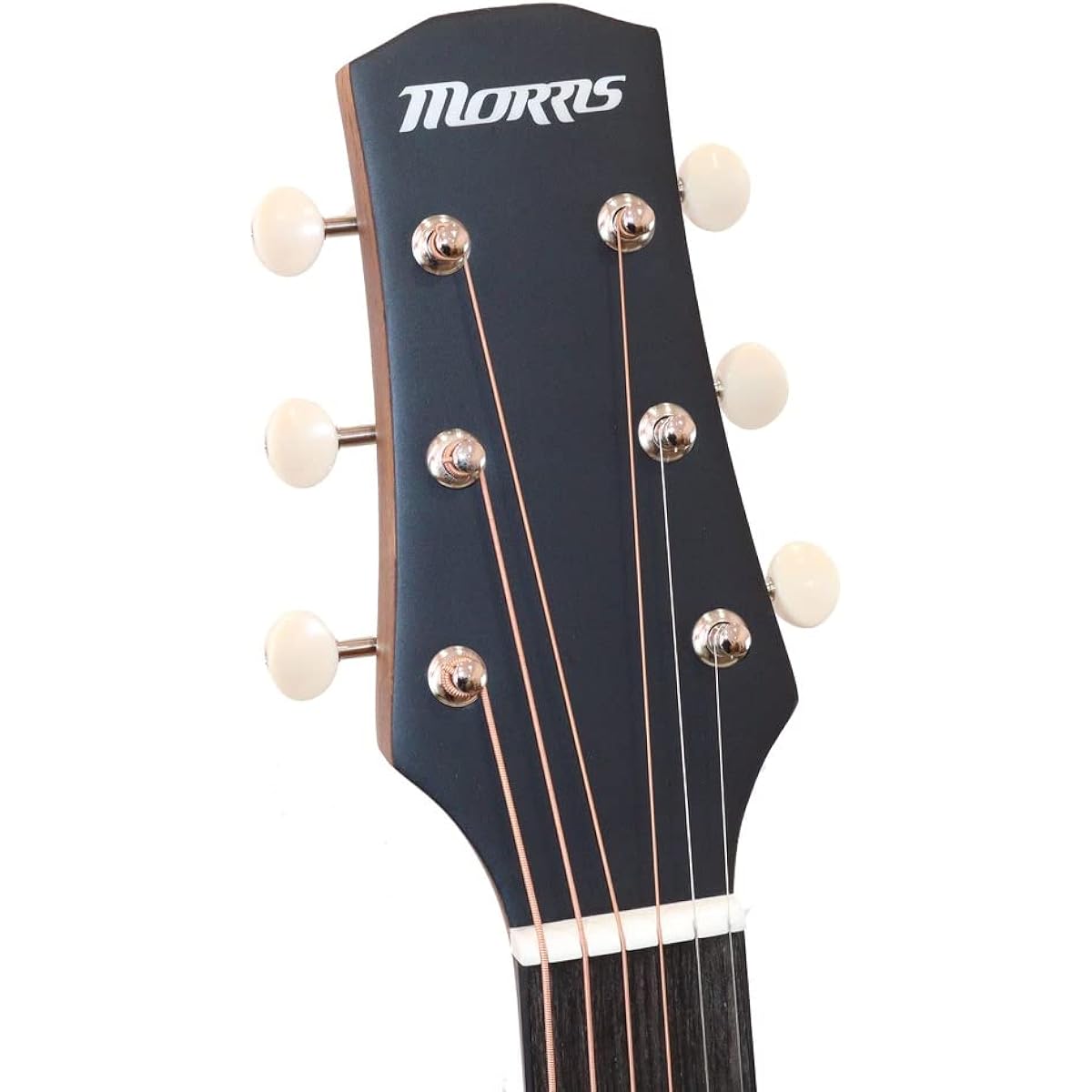 MORRIS Y-023 VB Acoustic Guitar